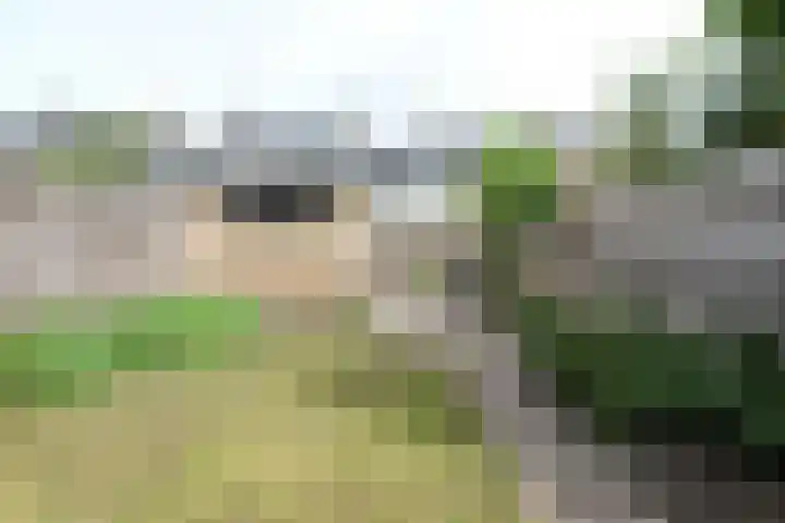 Clarenburg 29 Breukelen thumbnail 25