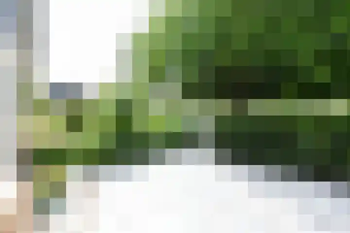 Clarenburg 29 Breukelen thumbnail 27