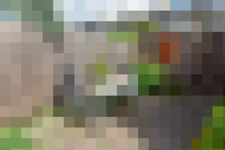 Clarenburg 32 Breukelen thumbnail 21