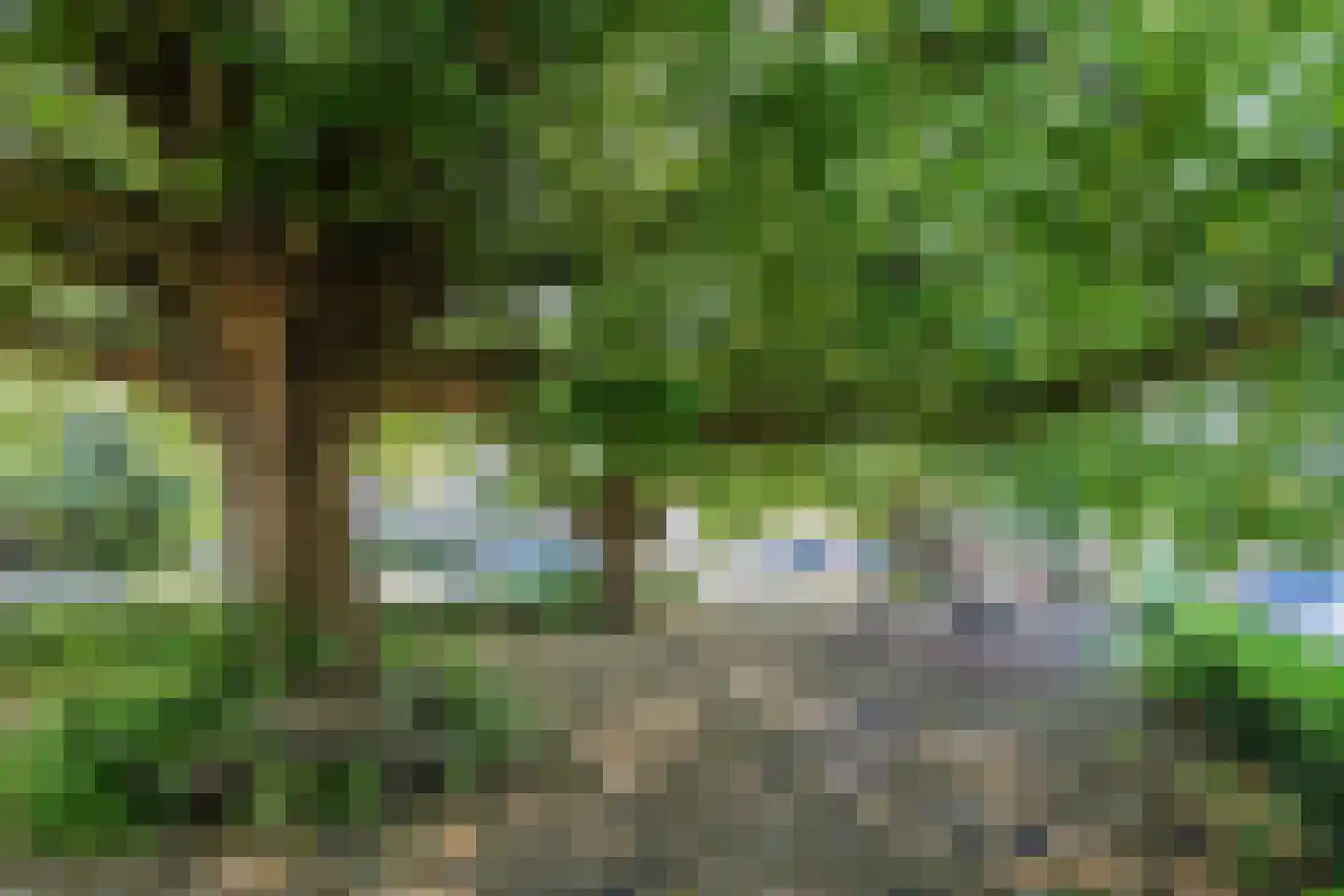 Clarenburg 33 Breukelen thumbnail 39