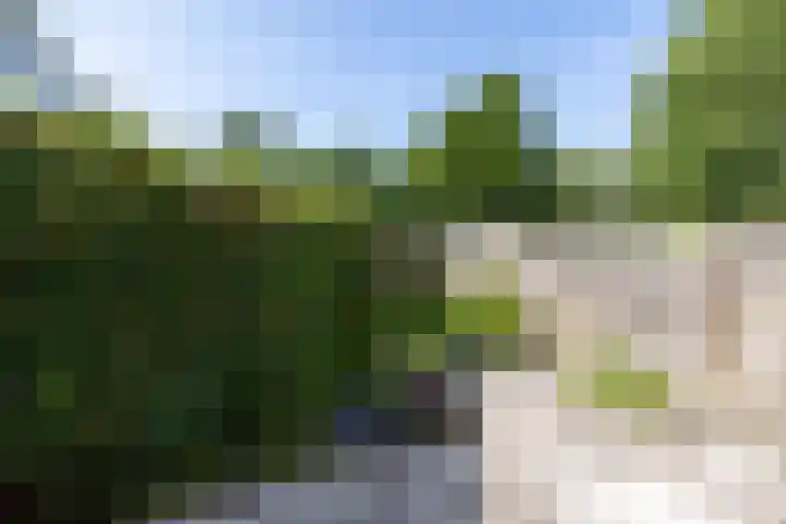 Clarenburg 40 Leusden thumbnail 21