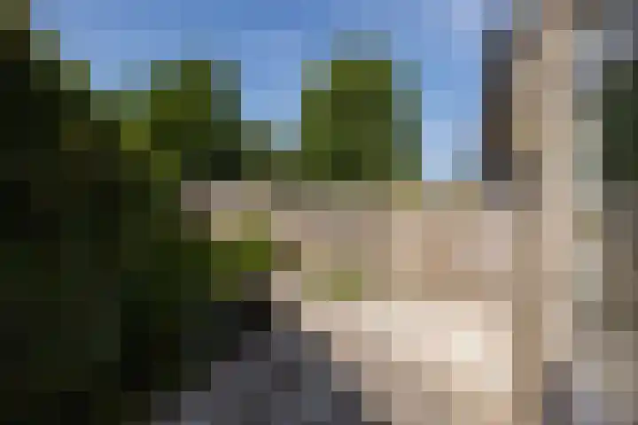 Clarenburg 40 Leusden thumbnail 22