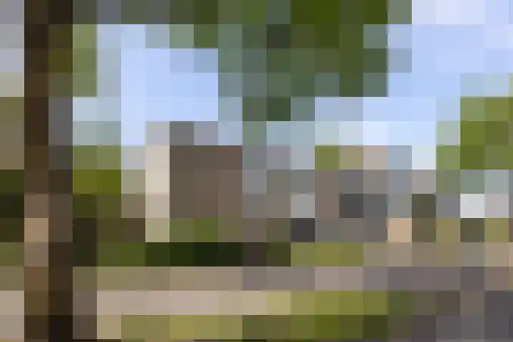 Clarenburg 40 Leusden thumbnail 24