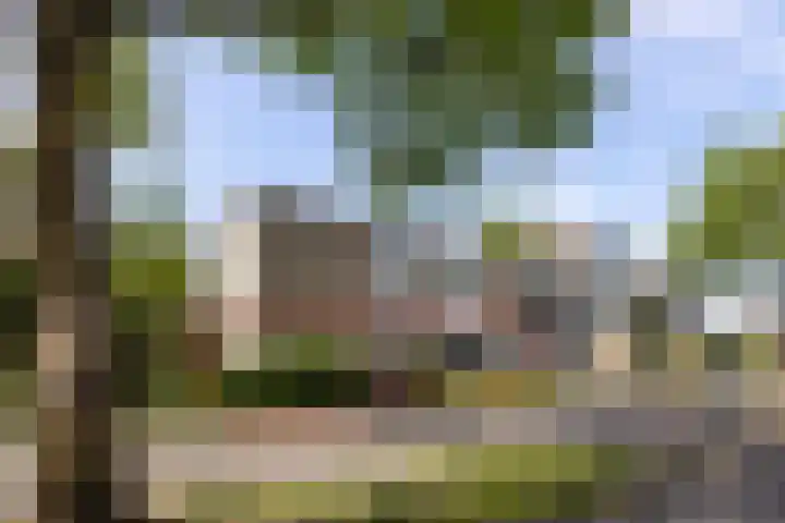 Clarenburg 40 Leusden thumbnail 33
