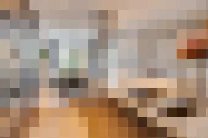 Clarenburg 50 Leusden thumbnail 13