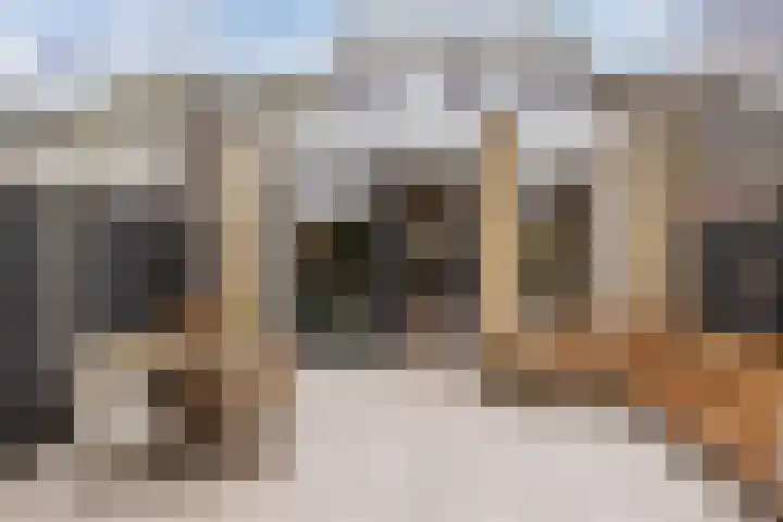 Clarenburg 50 Leusden thumbnail 27
