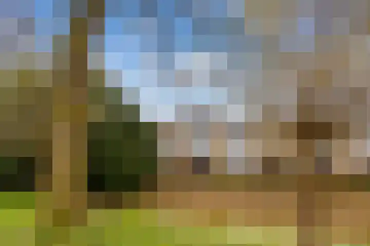 Clarenburg 50 Leusden thumbnail 31