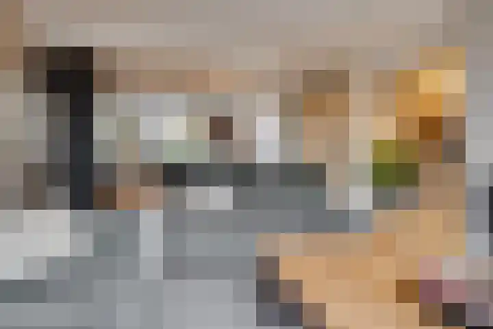 Clarenburg 50 Leusden thumbnail 7