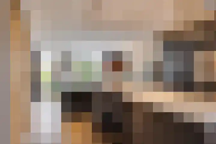 Clarenburg 50 Leusden thumbnail 8