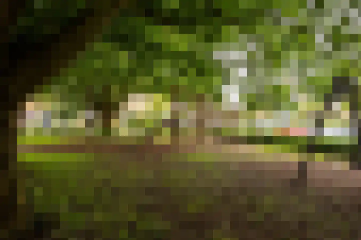 Clarenburg 6 Breukelen thumbnail 41