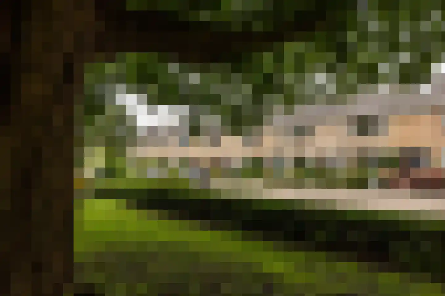 Clarenburg 6 Breukelen thumbnail 42
