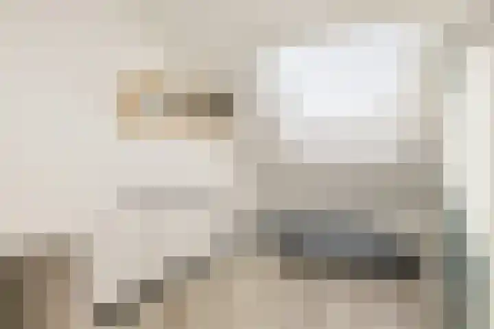 Clarenburg 7 Breukelen thumbnail 29