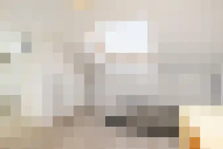 Clarenburg 7 Breukelen thumbnail 31