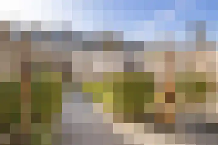 Clarenburg 7 Breukelen thumbnail 33