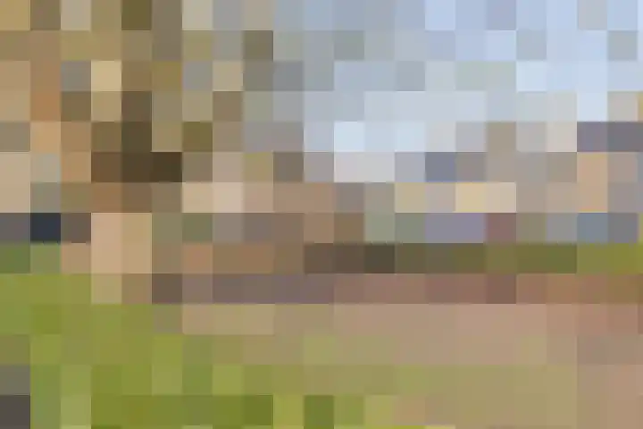 Clarenburg 7 Breukelen thumbnail 36