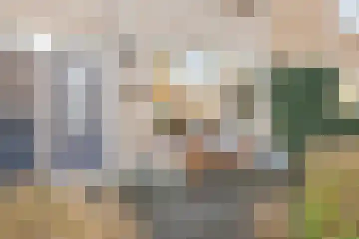 Clarenburg 7 Breukelen thumbnail 7