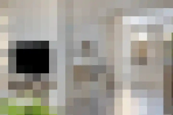 Clarendallaan 12 Harderwijk thumbnail 10