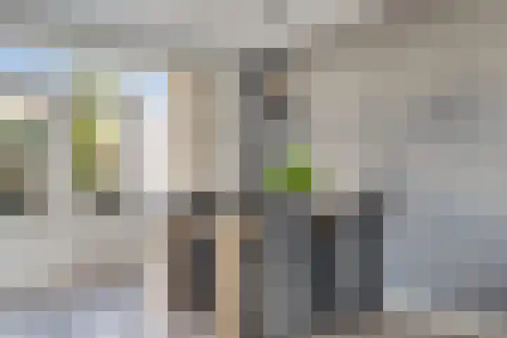 Clarendallaan 12 Harderwijk thumbnail 11