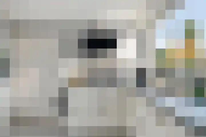 Clarendallaan 12 Harderwijk thumbnail 14