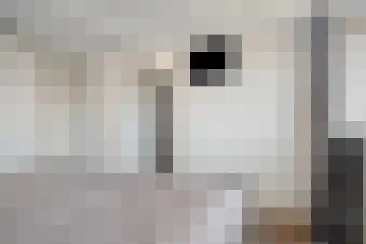 Clarendallaan 12 Harderwijk thumbnail 20