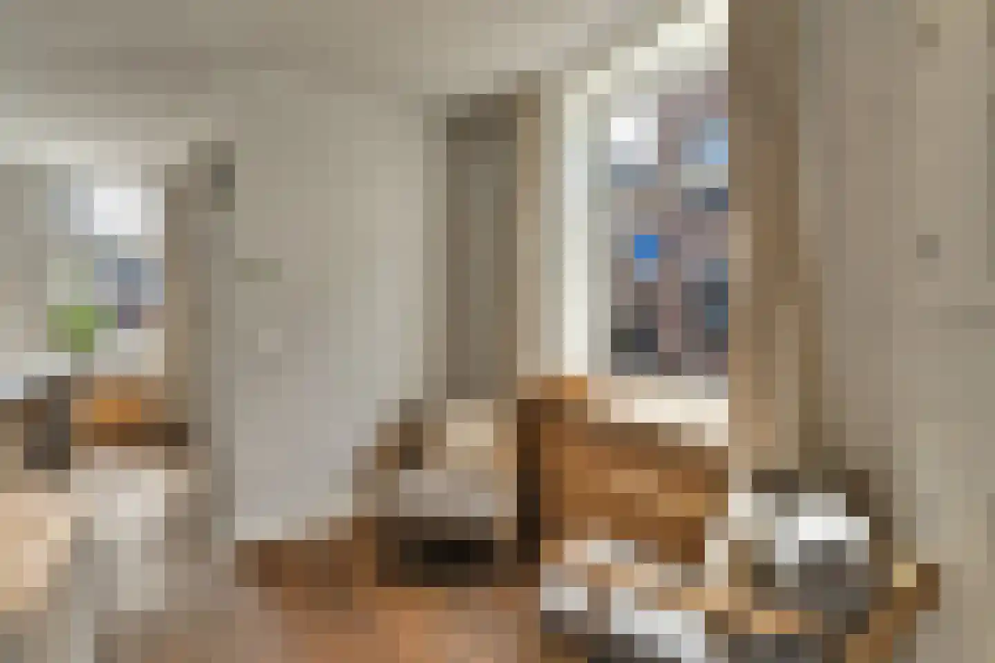 Clarensteeg 24 Leiden thumbnail 18