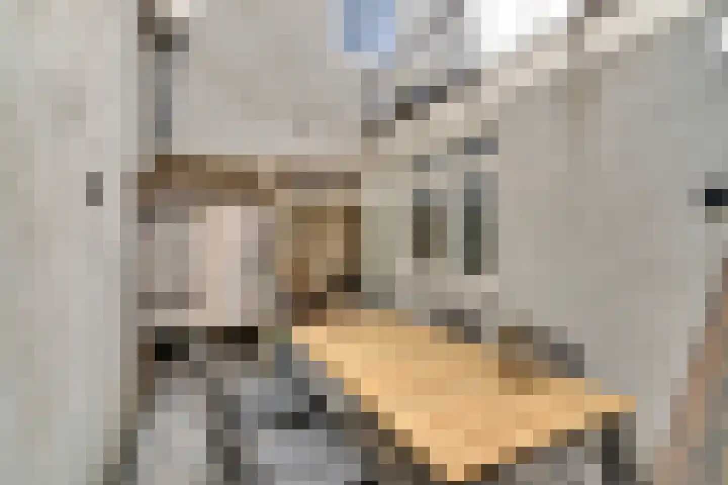 Clarensteeg 24 Leiden thumbnail 20