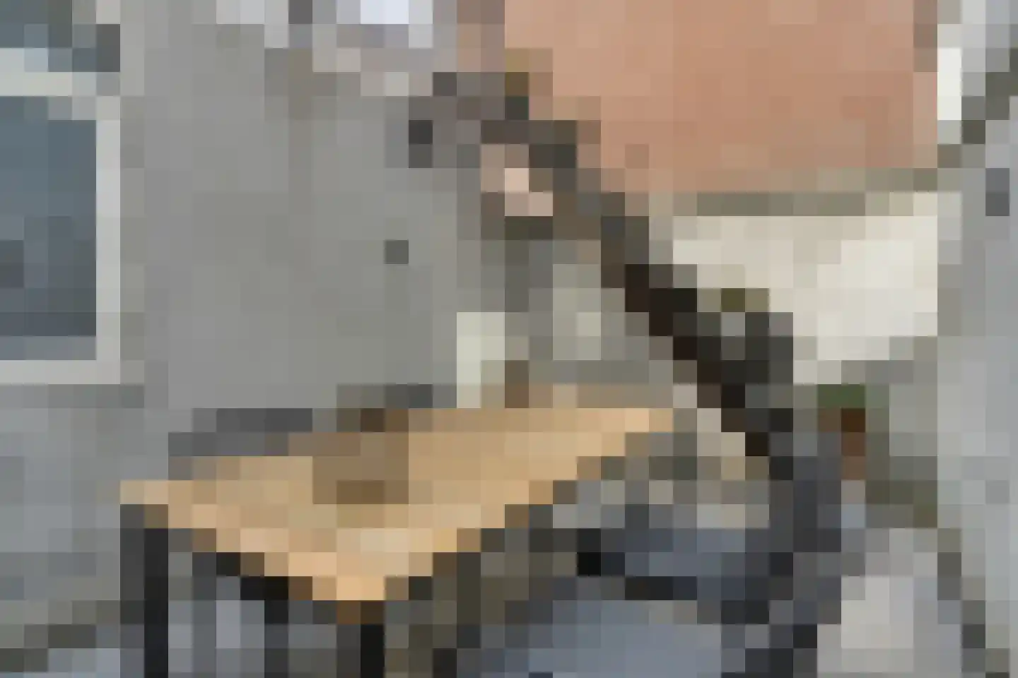 Clarensteeg 24 Leiden thumbnail 21