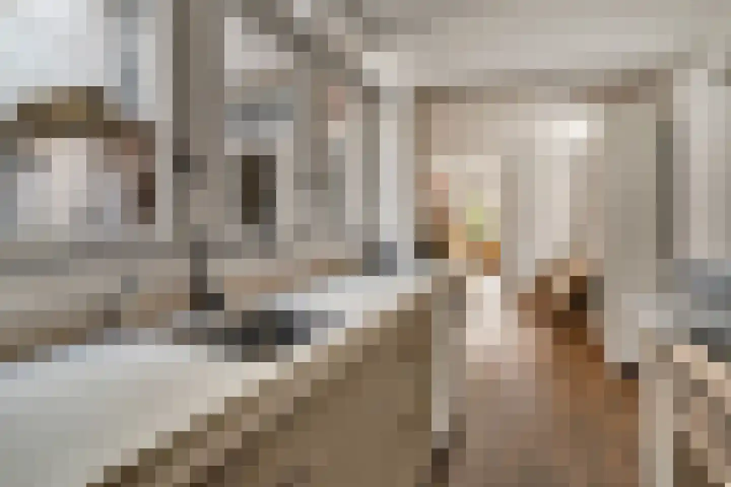 Clarensteeg 24 Leiden thumbnail 28