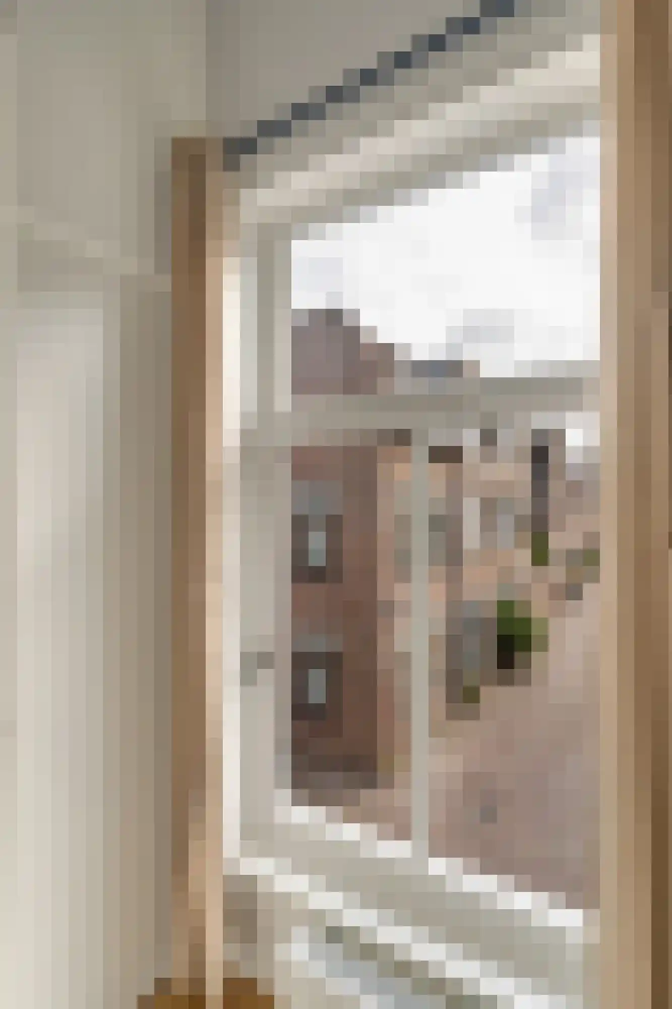 Clarensteeg 24 Leiden thumbnail 34