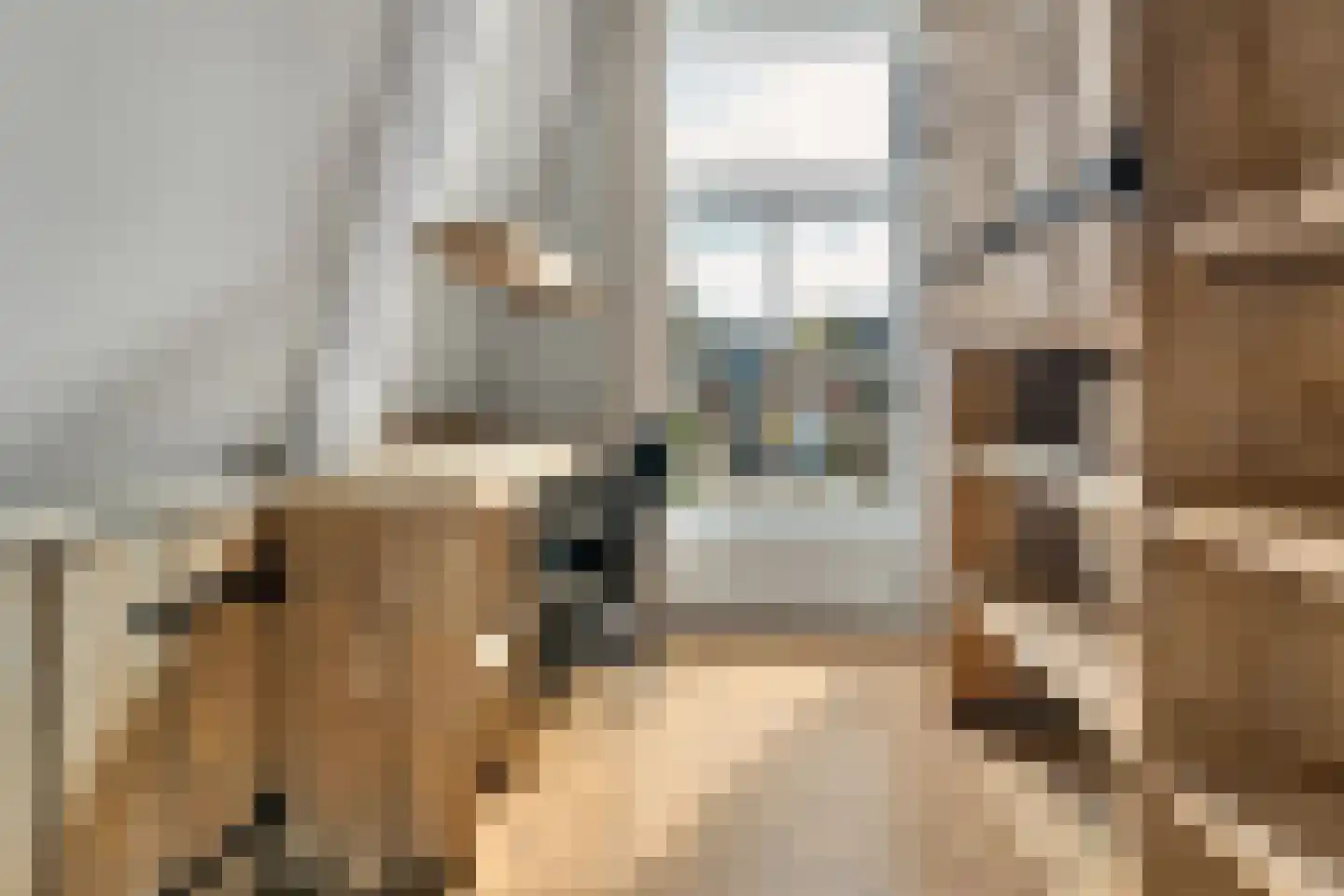 Clarensteeg 24 Leiden thumbnail 45