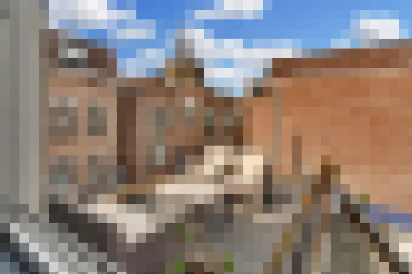 Clarensteeg 24 Leiden thumbnail 5