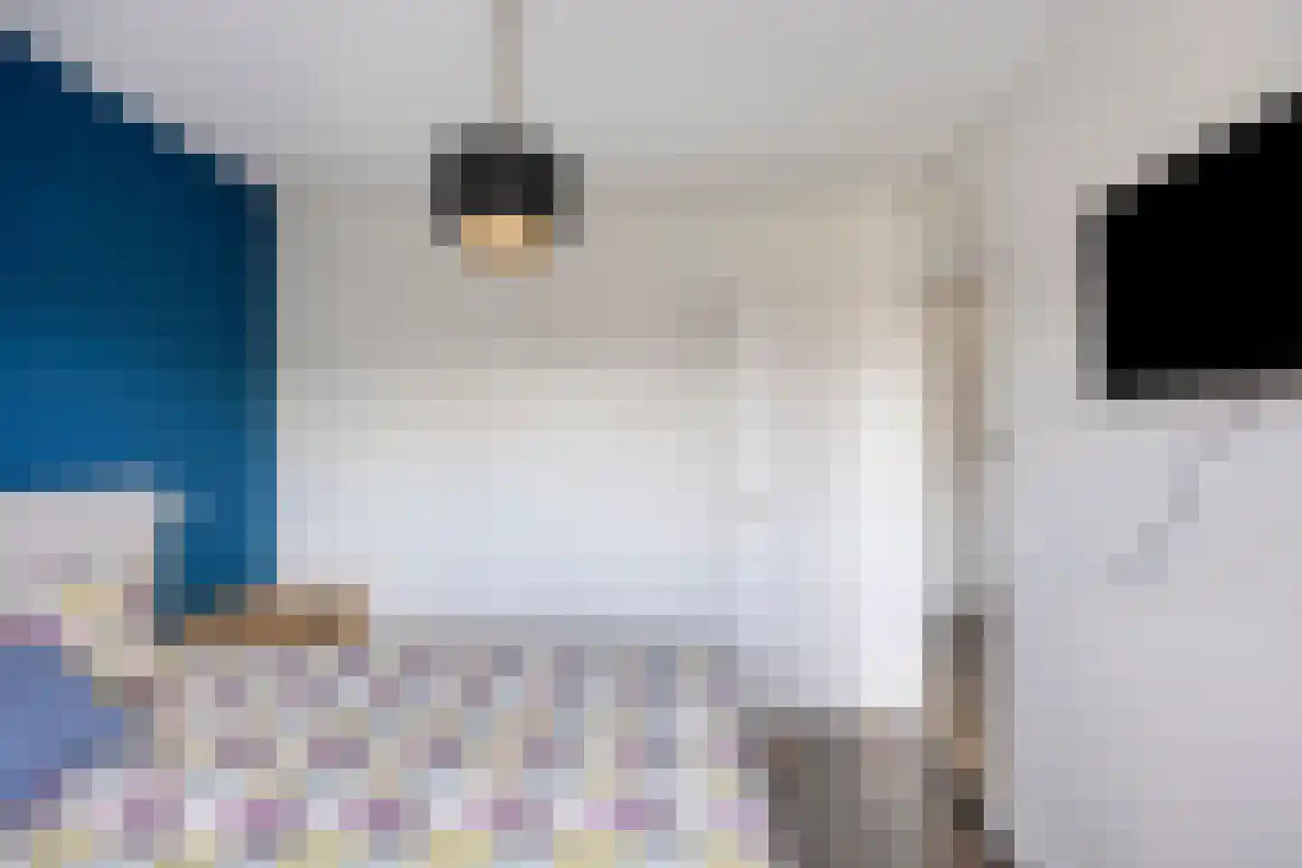 Clariet Kok-van Alphenstraat 11 Leiden thumbnail 20