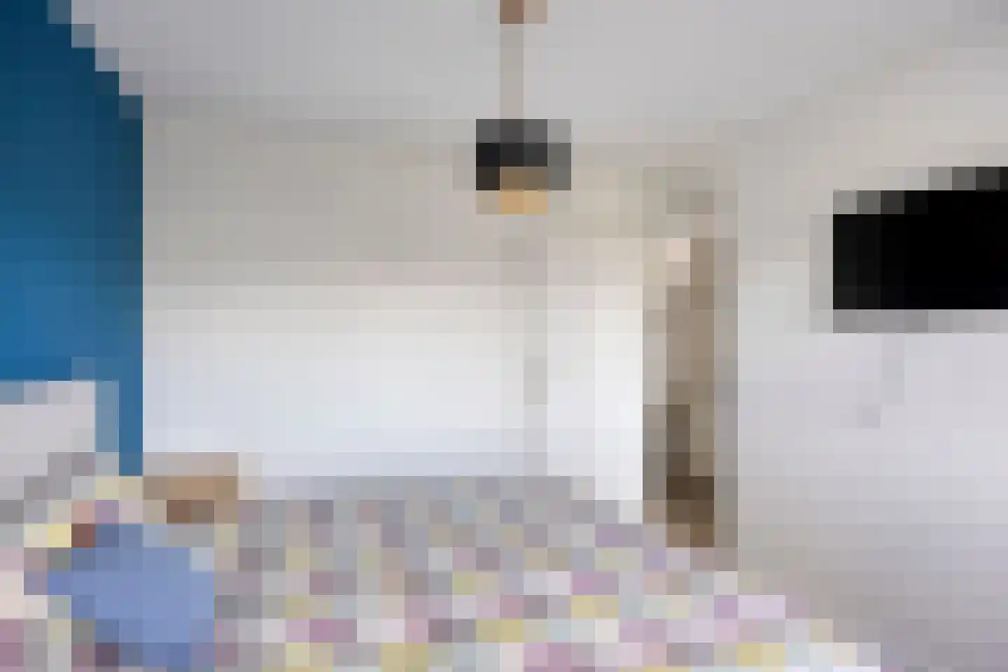 Clariet Kok-van Alphenstraat 11 Leiden thumbnail 22