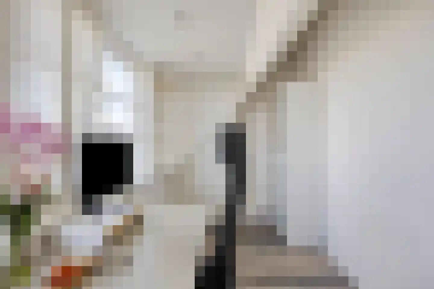 Clariet Kok-van Alphenstraat 11 Leiden thumbnail 29