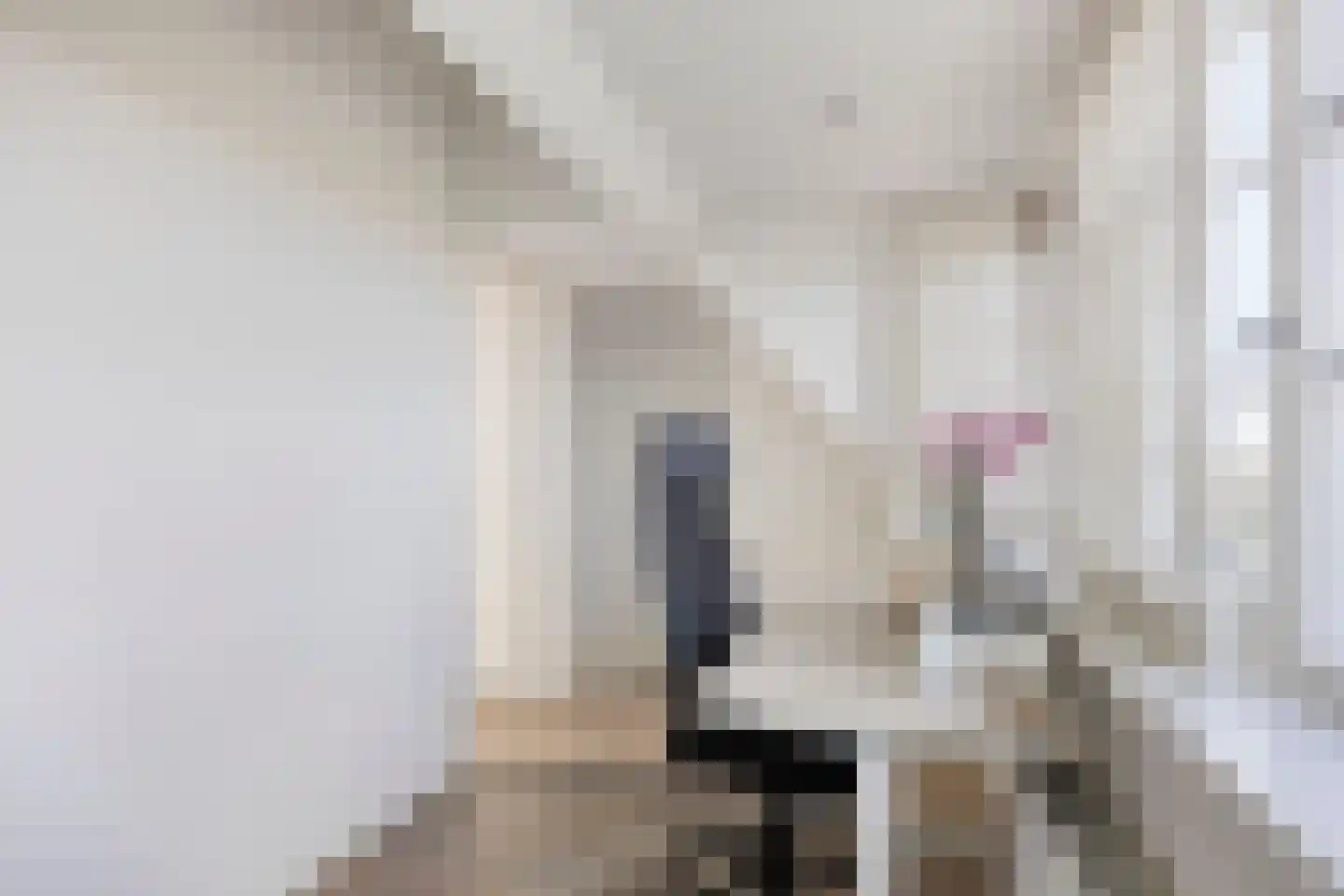 Clariet Kok-van Alphenstraat 11 Leiden thumbnail 30