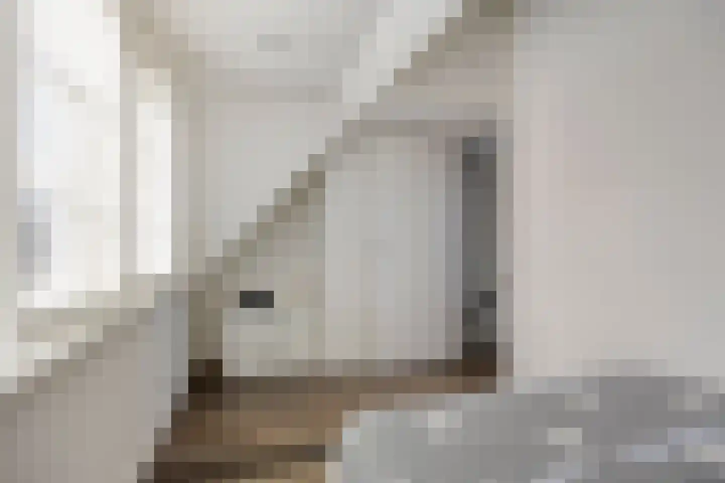 Clariet Kok-van Alphenstraat 11 Leiden thumbnail 32