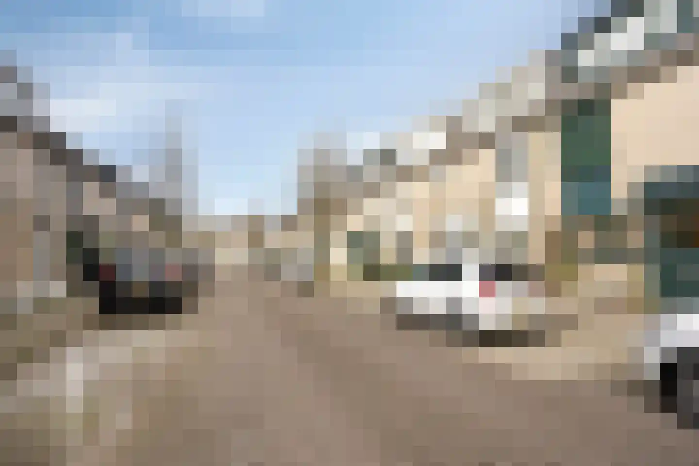 Clariet Kok-van Alphenstraat 11 Leiden thumbnail 38