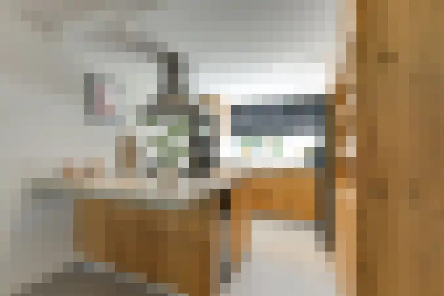 Clariet Kok-van Alphenstraat 27 Leiden thumbnail 13