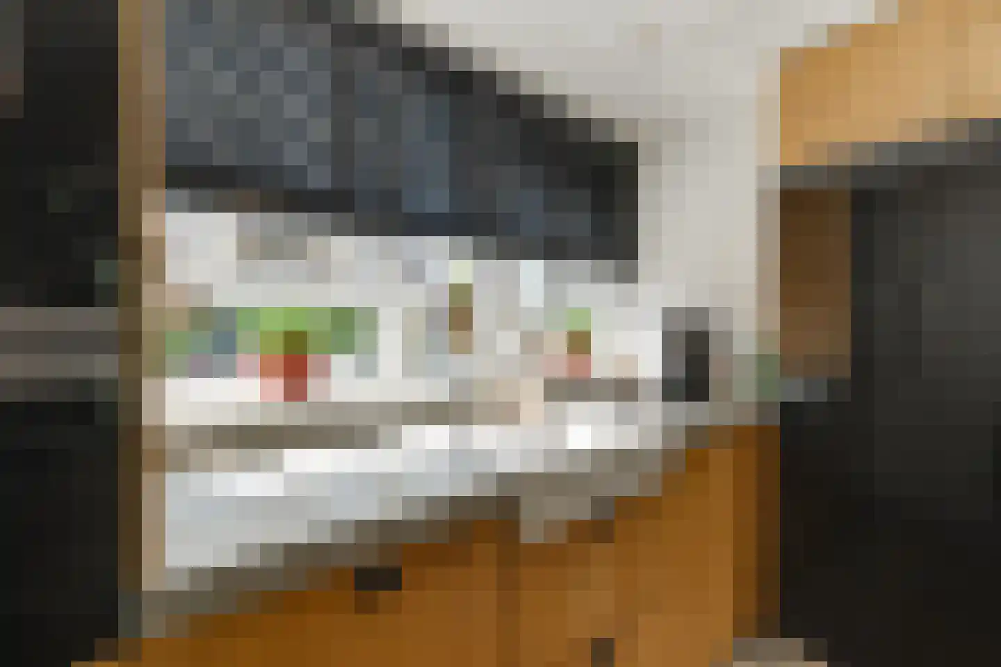 Clariet Kok-van Alphenstraat 27 Leiden thumbnail 15