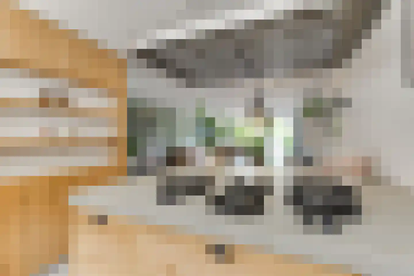 Clariet Kok-van Alphenstraat 27 Leiden thumbnail 16