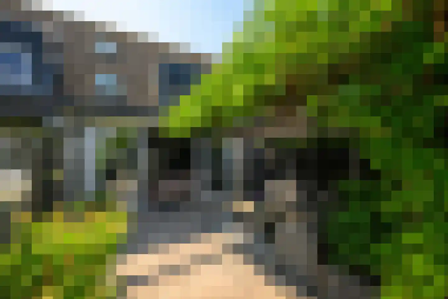Clariet Kok-van Alphenstraat 27 Leiden thumbnail 21