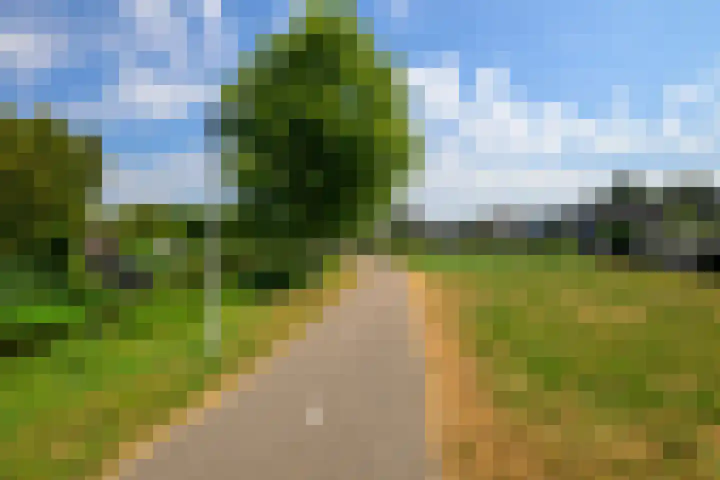 Clariet Kok-van Alphenstraat 27 Leiden thumbnail 23