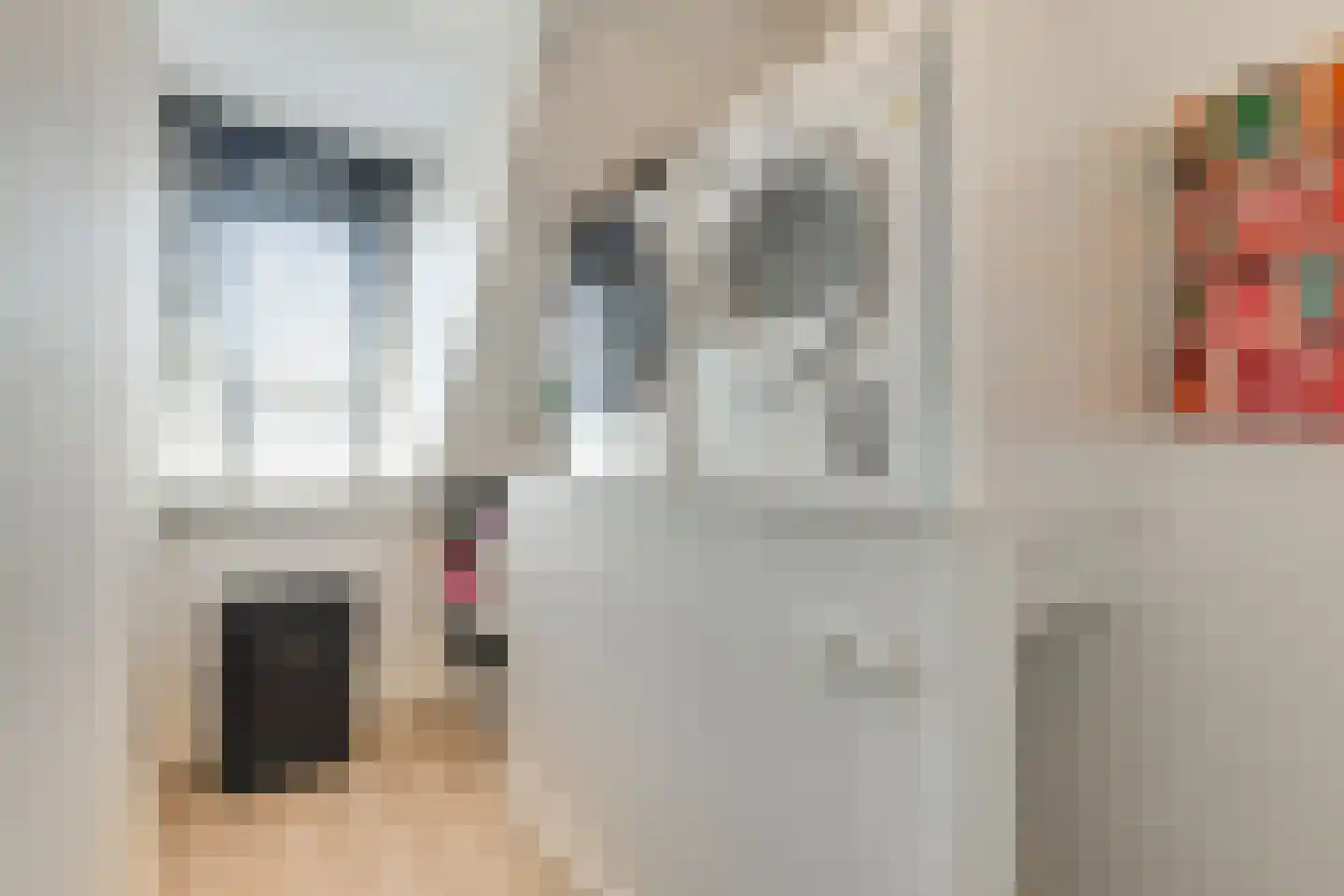 Clariet Kok-van Alphenstraat 27 Leiden thumbnail 34