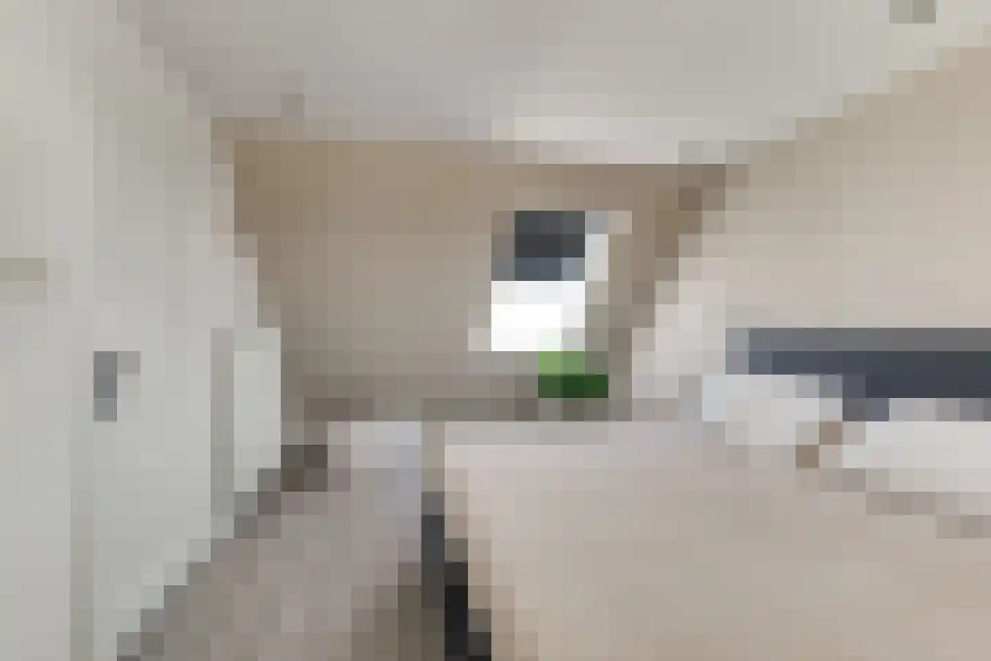 Clariet Kok-van Alphenstraat 27 Leiden thumbnail 37