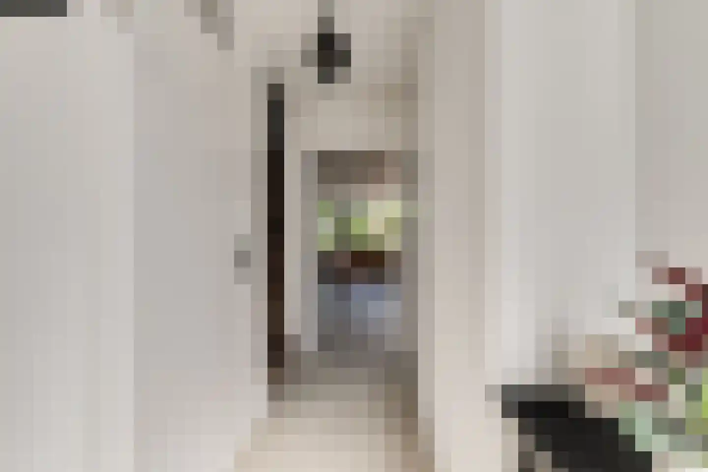 Clariet Kok-van Alphenstraat 27 Leiden thumbnail 7