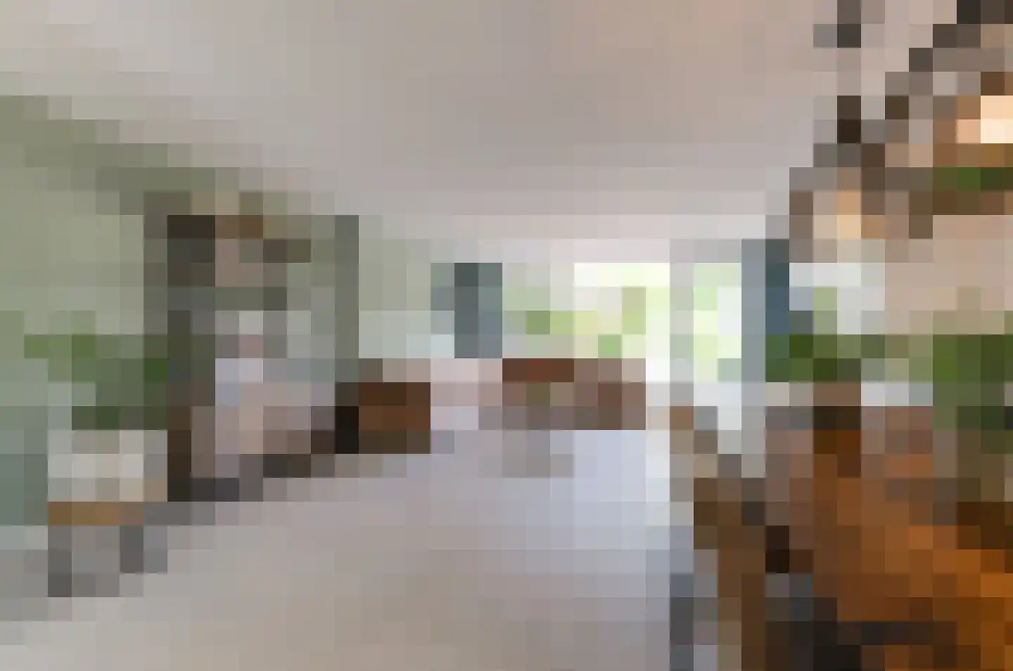 Clariet Kok-van Alphenstraat 27 Leiden thumbnail 9