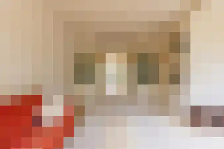 Clarionlaan 1 Santpoort-Zuid thumbnail 11