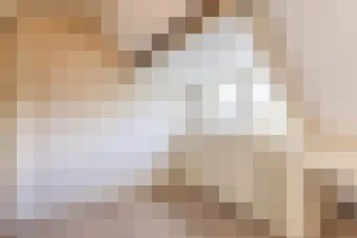 Clarionlaan 1 Santpoort-Zuid thumbnail 27
