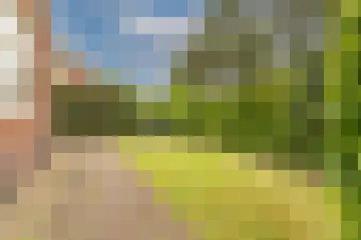 Clarionlaan 1 Santpoort-Zuid thumbnail 4