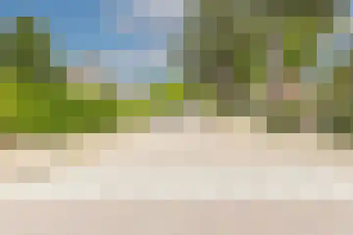 Clarionlaan 1 Santpoort-Zuid thumbnail 6